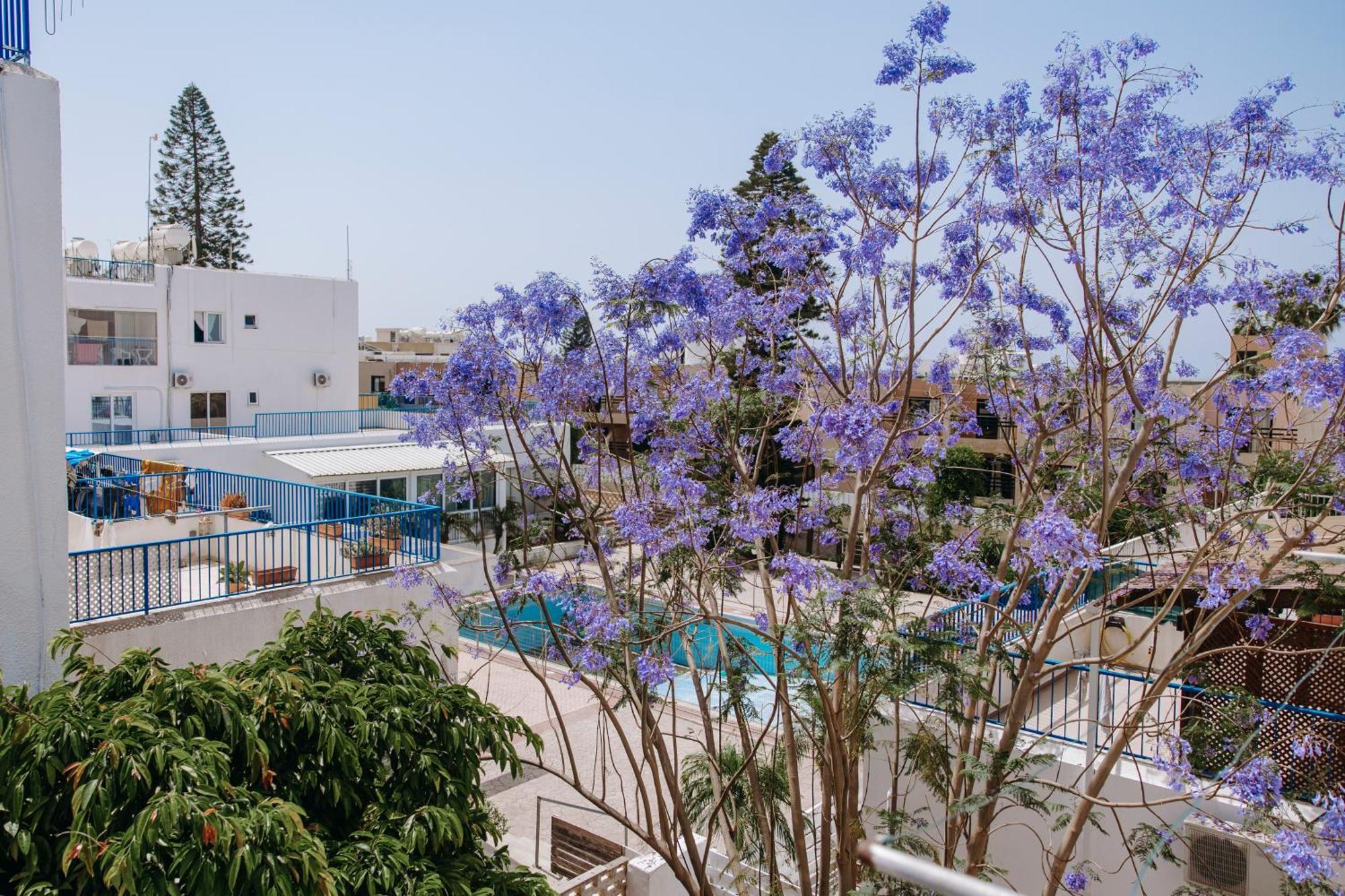 Ferienwohnung Viking Family Superior Lux Agia Napa Exterior foto